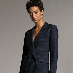 Aritzia Babaton Samuel Blazer